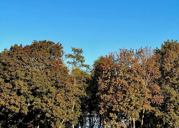 Warmia107-butikowy Dom Nad Jeziorem Villa *